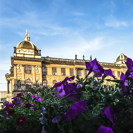 호텔 Wenceslas Square - Czech Leading 프라하
